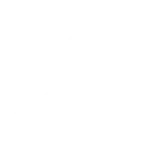 asset